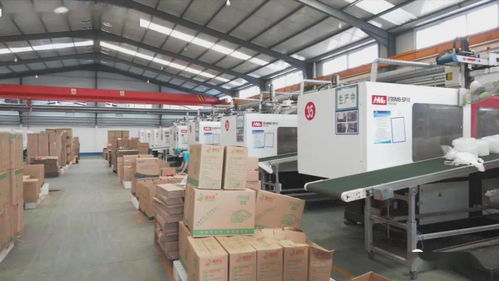 莒縣劉官莊鎮(zhèn) 富強和美 云塑小鎮(zhèn)